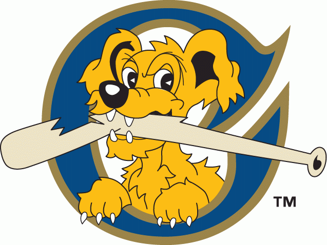 Charleston Riverdogs 1996-2010 Cap Logo iron on transfers for clothing